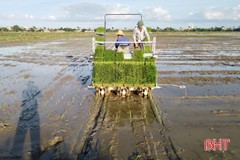 Máy thay người cấy lúa trên cánh đồng rộng 20ha ở Can Lộc
