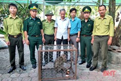 Bàn giao cá thể khỉ mốc cho Vườn Quốc gia Vũ Quang