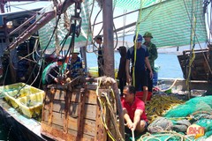 Đuổi bắt tàu giã cào khai thác trái phép trên vùng biển phía Nam Hà Tĩnh
