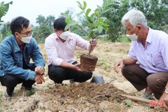 Vũ Quang xây dựng 5 mô hình sản xuất nông nghiệp hữu cơ đầu tiên trên địa bàn