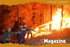 Phòng chống cháy rừng - cần sự chung tay của cả cộng đồng (bài 1): Vì đâu Hà Tĩnh luôn thường trực nguy cơ cháy rừng?