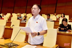 Đại biểu Quốc hội Hà Tĩnh thảo luận góp ý về Luật Thanh tra