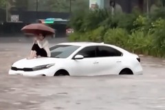 Câu chuyện của nữ tài xế ngồi trên nóc ô tô chờ cứu hộ khi đường ngập