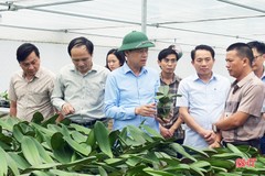 Hỗ trợ các địa phương hấp thụ tốt chính sách phát triển nông nghiệp
