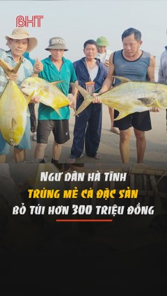 Ngư dân Hà Tĩnh trúng mẻ cá đặc sản, bỏ túi hơn 300 triệu đồng