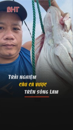 Trải nghiệm câu cá Vược "khủng" trên sông Lam