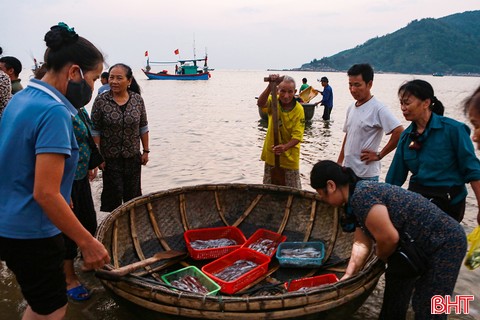 Ngư dân Hà Tĩnh "gác" lễ vươn khơi, mang về nguồn hải sản tươi ngon