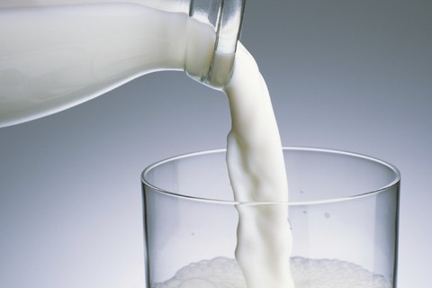 Mối lo về sản phẩm sữa tươi tại Mỹ khi bò sữa nhiễm cúm gia cầm H5N1