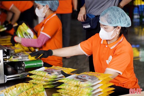 14 sản phẩm của Hà Tĩnh được công nhận sản phẩm công nghiệp nông thôn tiêu biểu khu vực phía Bắc