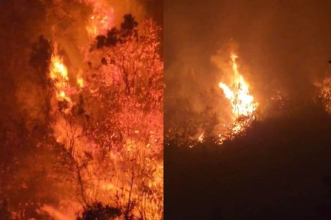 2 cán bộ kiểm lâm tử nạn khi chữa cháy rừng