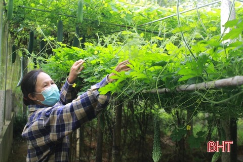 Phụ nữ Can Lộc góp sức xây dựng huyện nông thôn mới nâng cao