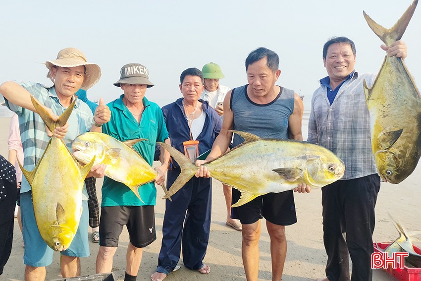 Trúng mẻ cá đặc sản, ngư dân Cẩm Xuyên thu hơn 300 triệu đồng | Báo Hà Tĩnh