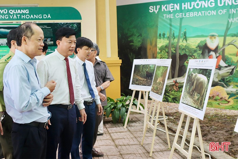 Phó Chủ tịch Thường trực UBND tỉnh Nguyễn Hồng Lĩnh tham quan khu vực trưng bày ảnh các loài động vật hoang dã tại Vườn Quốc gia Vũ Quang.